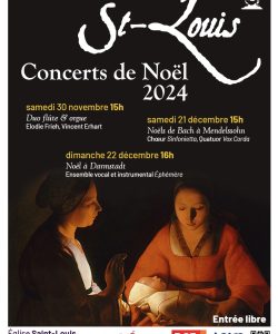 FlyerNoel24